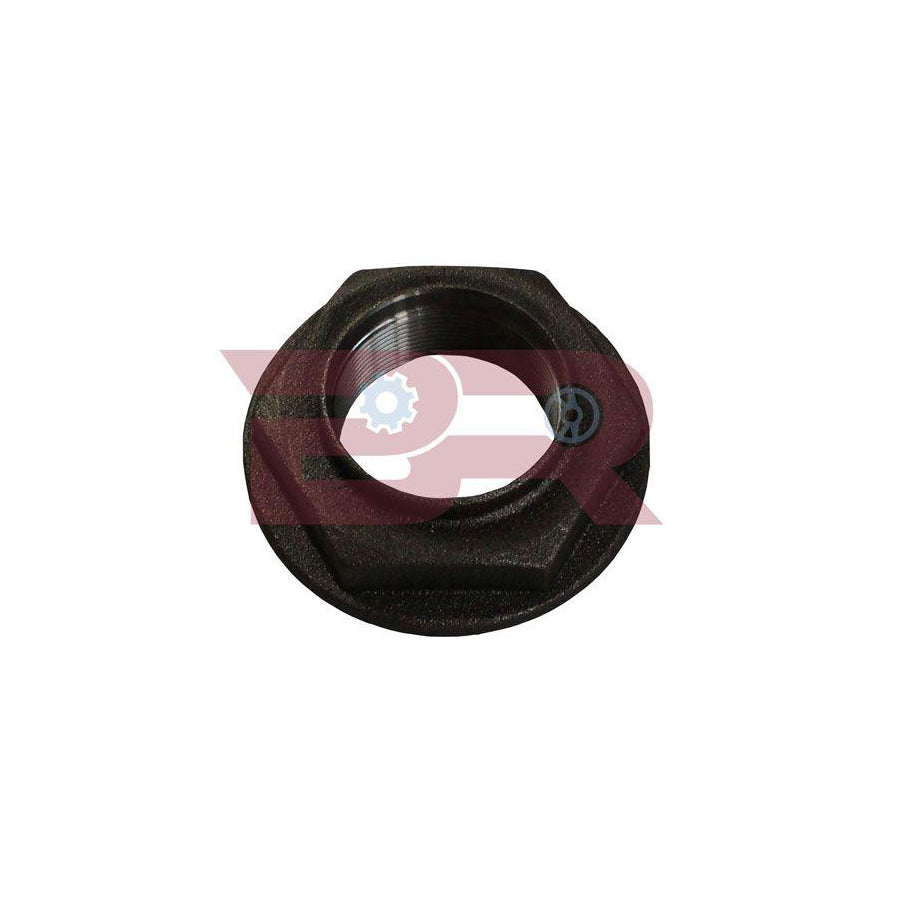 Botto Ricambi Brd9032 Nut, Axle Spider (Differential Pinion Gear)