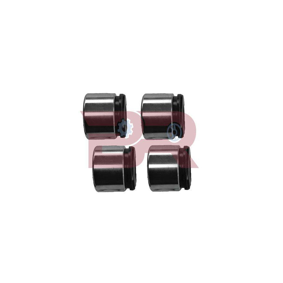 Botto Ricambi Brfr6966 Repair Kit, Brake Caliper for Iveco Daily