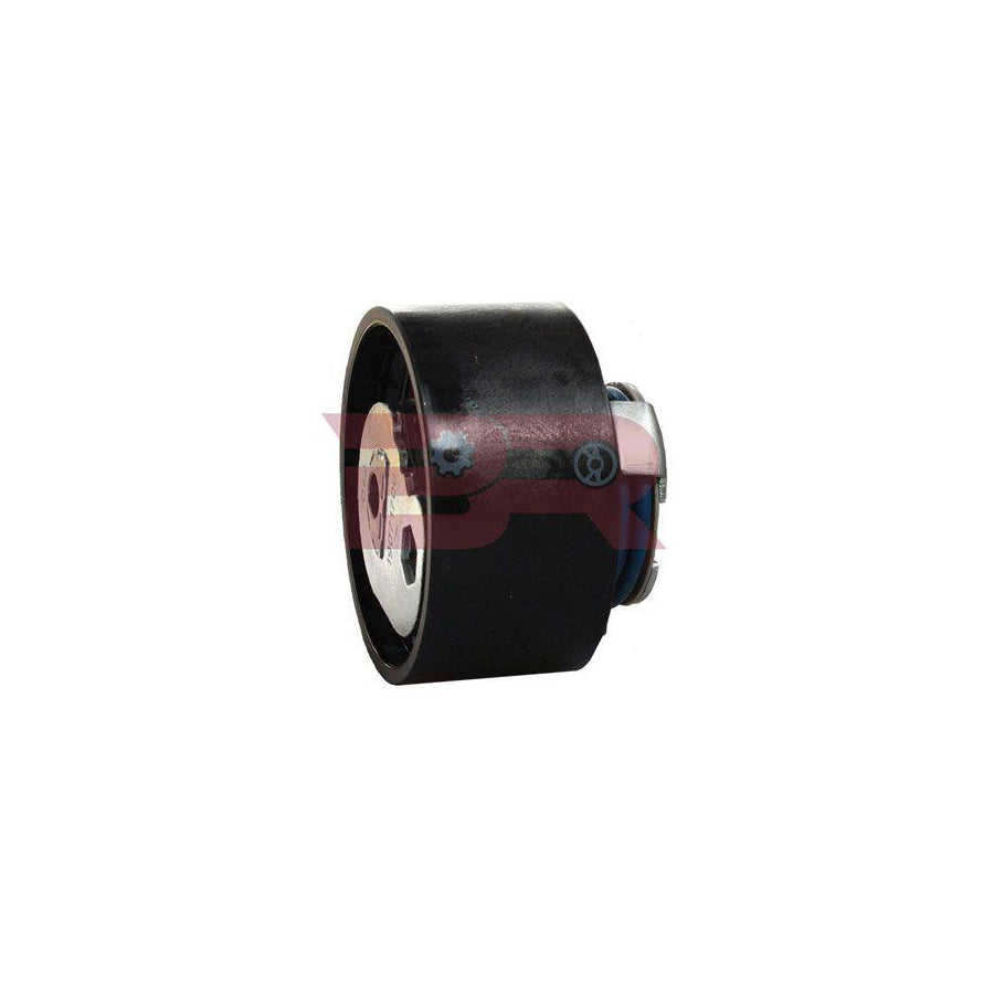 Botto Ricambi Brm3759 Belt Tensioner, V-Ribbed Belt for Iveco Daily