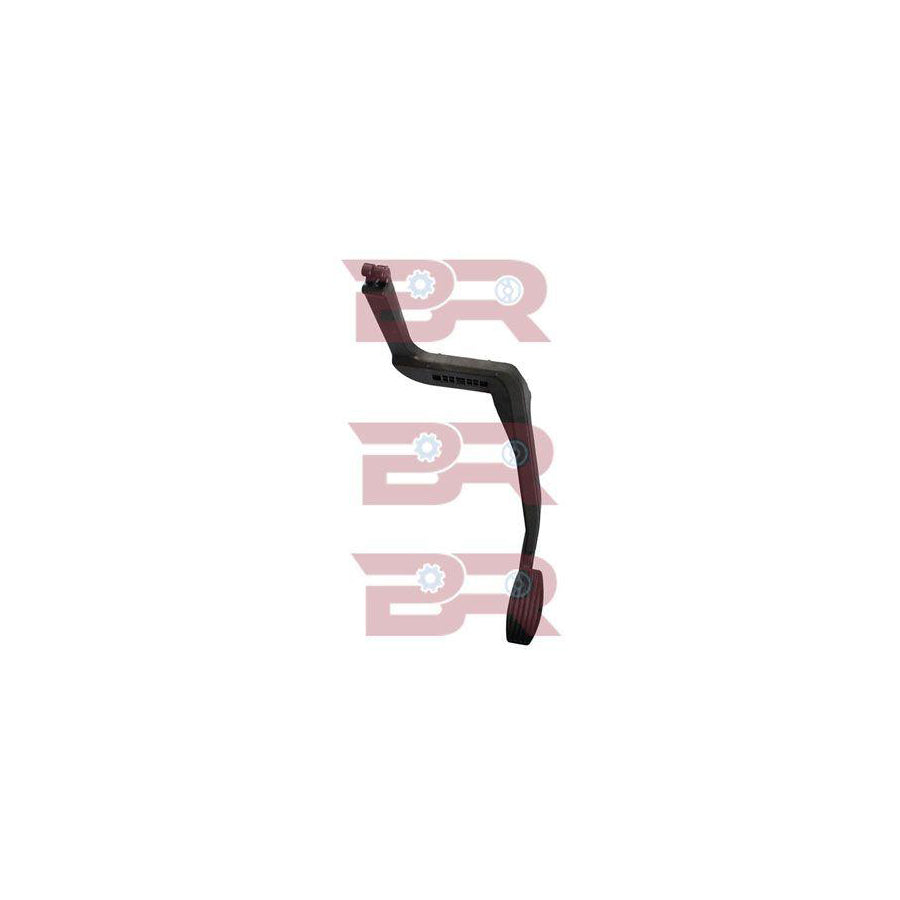 Botto Ricambi Brm6517 Accelerator Pedal for Iveco Daily