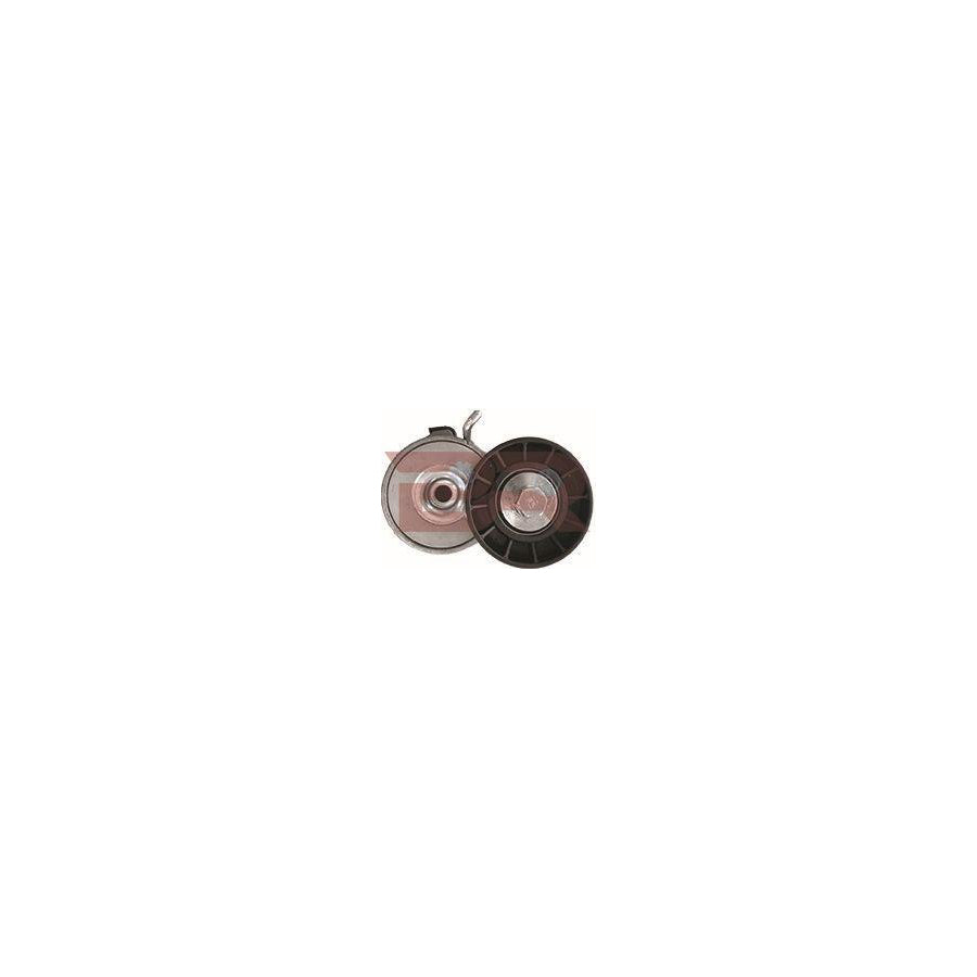 Botto Ricambi Brm6948 Belt Tensioner, V-Ribbed Belt