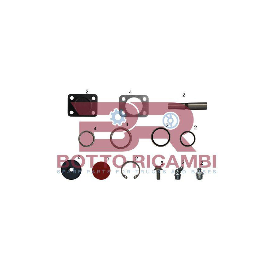 Botto Ricambi Kitiv027 Repair Kit, Kingpin
