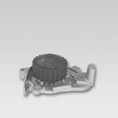 HEPU P748 Water Pump