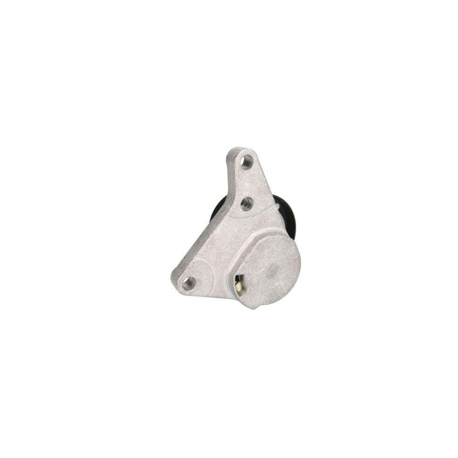 BTA B05-02-116 Tensioner Pulley