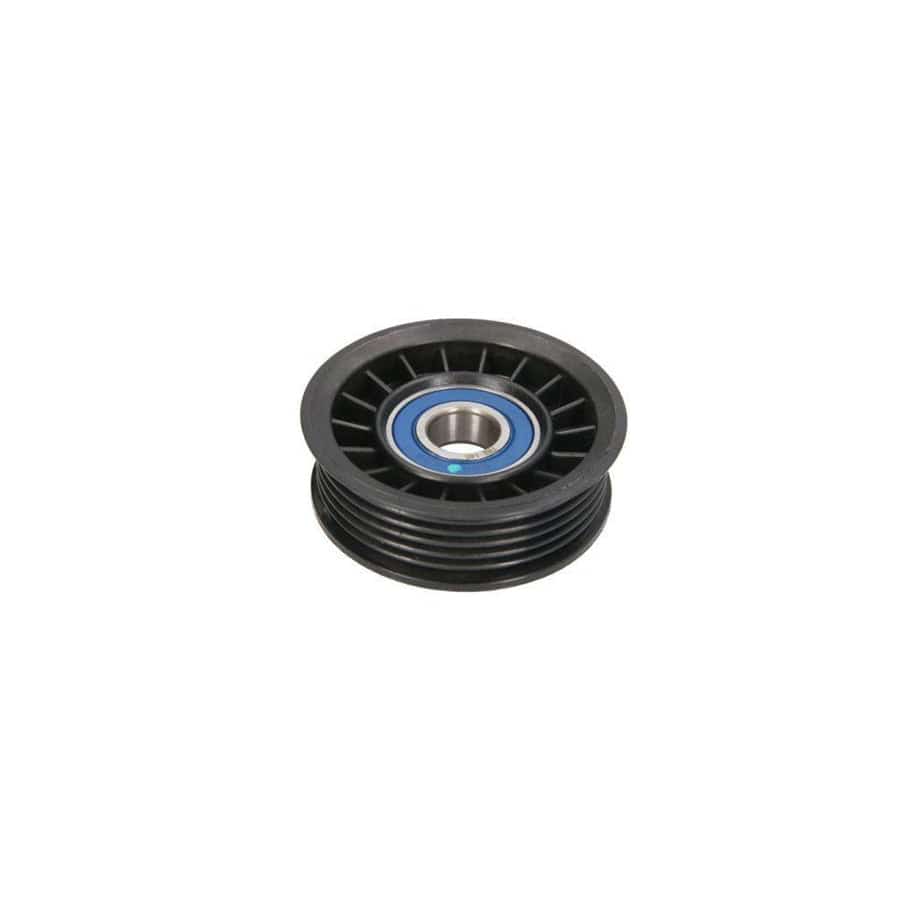 BTA B05-Ag-061 Tensioner Pulley