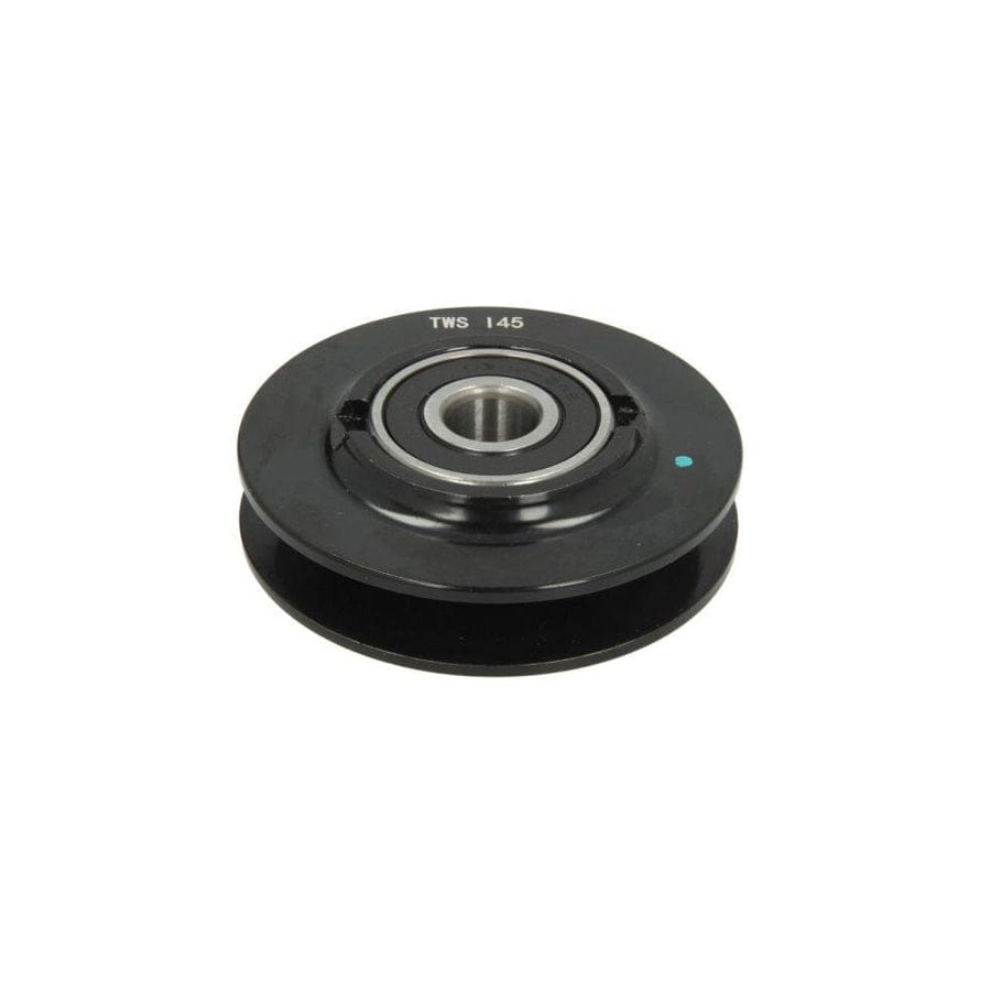 BTA B05-Ag-066 Tensioner Pulley