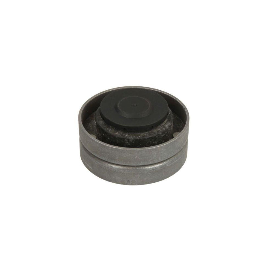 BTA B05-Ag-192 Tensioner Pulley