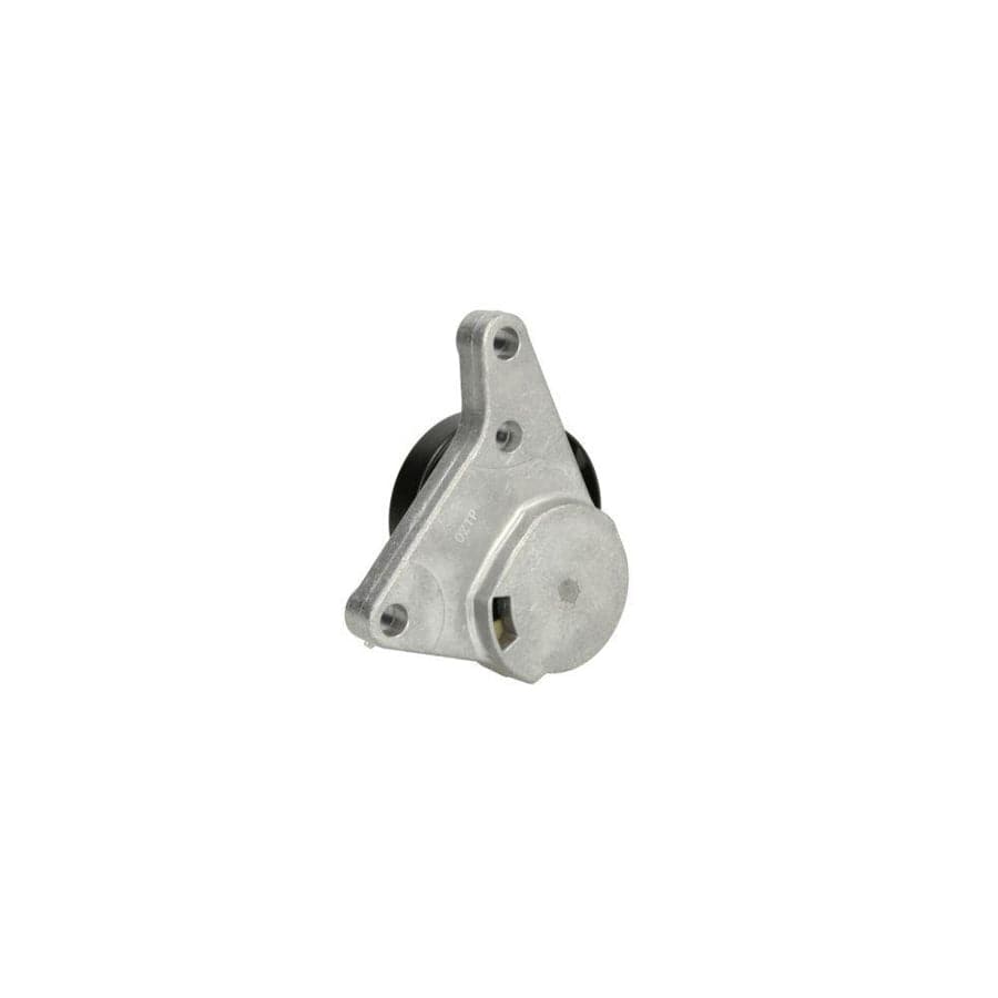 BTA B05-Ag-325 Belt Tensioner, V-Ribbed Belt