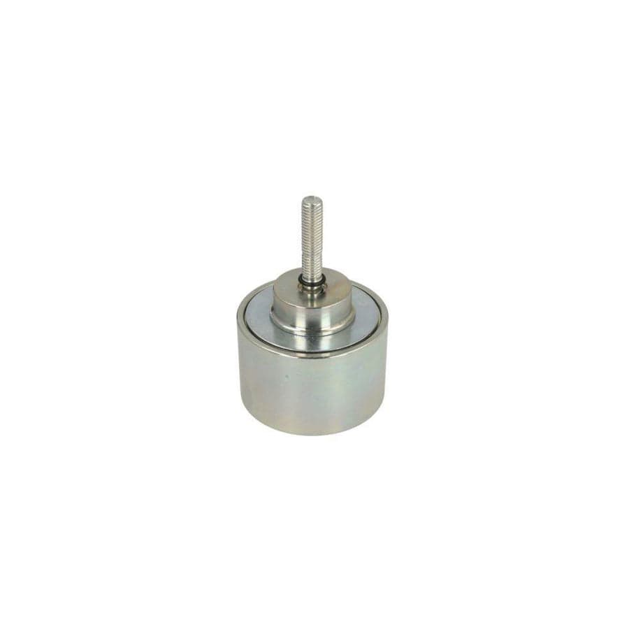 BTA B05-Ag-341 Tensioner Pulley