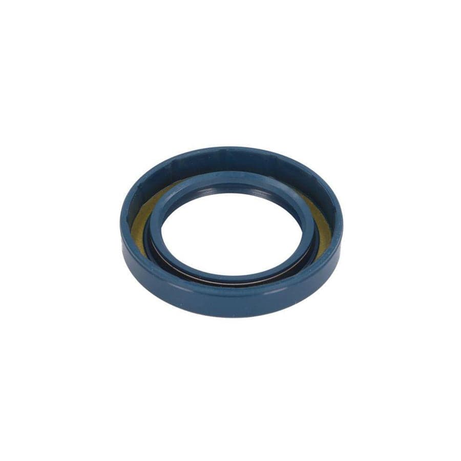 BTA B05-Ag-369 Gasket, Differential
