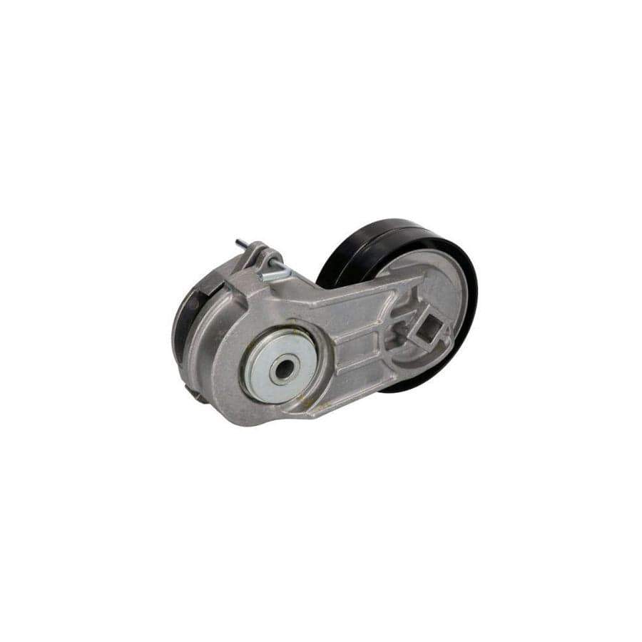 BTA B06-2005 Shaft Seal, Wheel Bearing