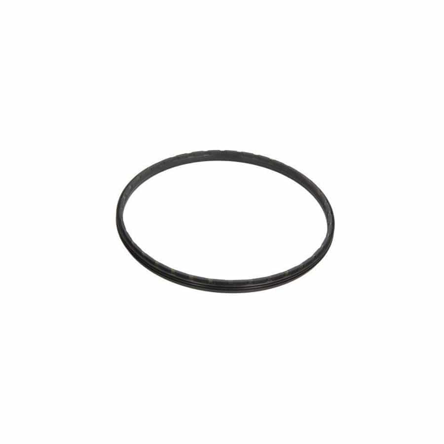 BTA B06-2101 Shaft Seal, Wheel Hub