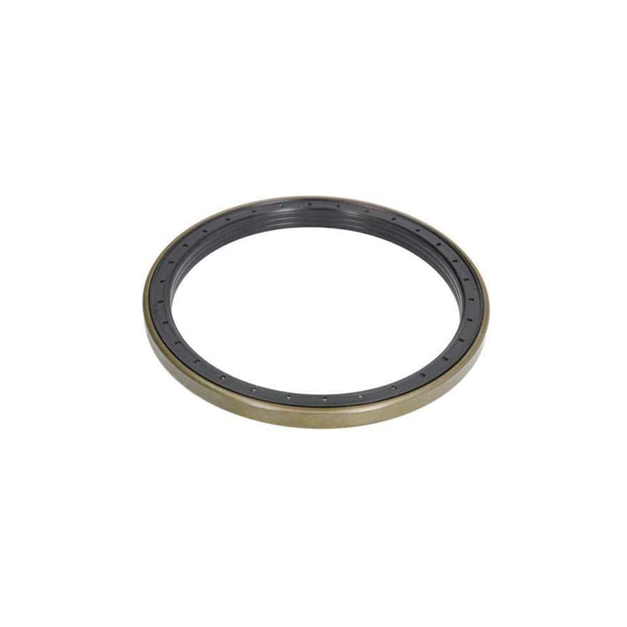 BTA B06-2150 Shaft Seal, Wheel Hub