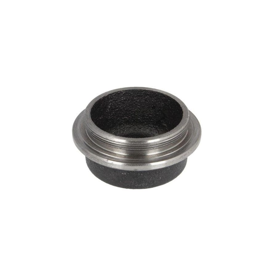 BTA B06-2165 Cap, Wheel Bearing