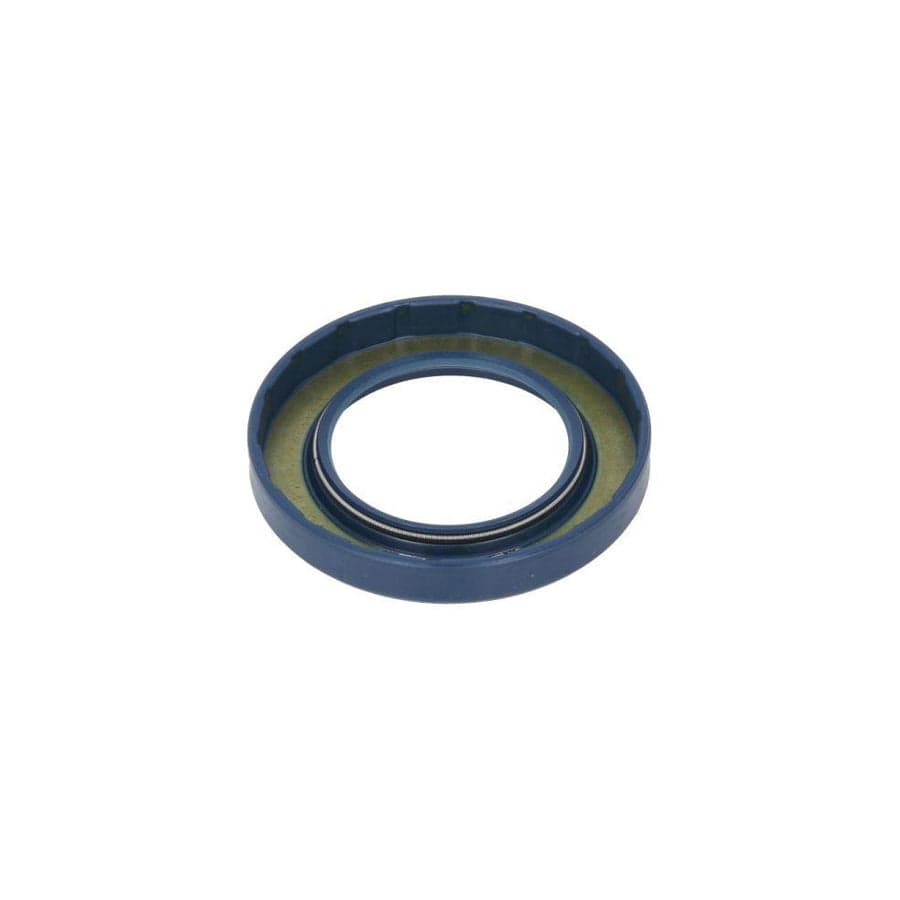 BTA B06-2198 Oil Seal, Manual Transmission
