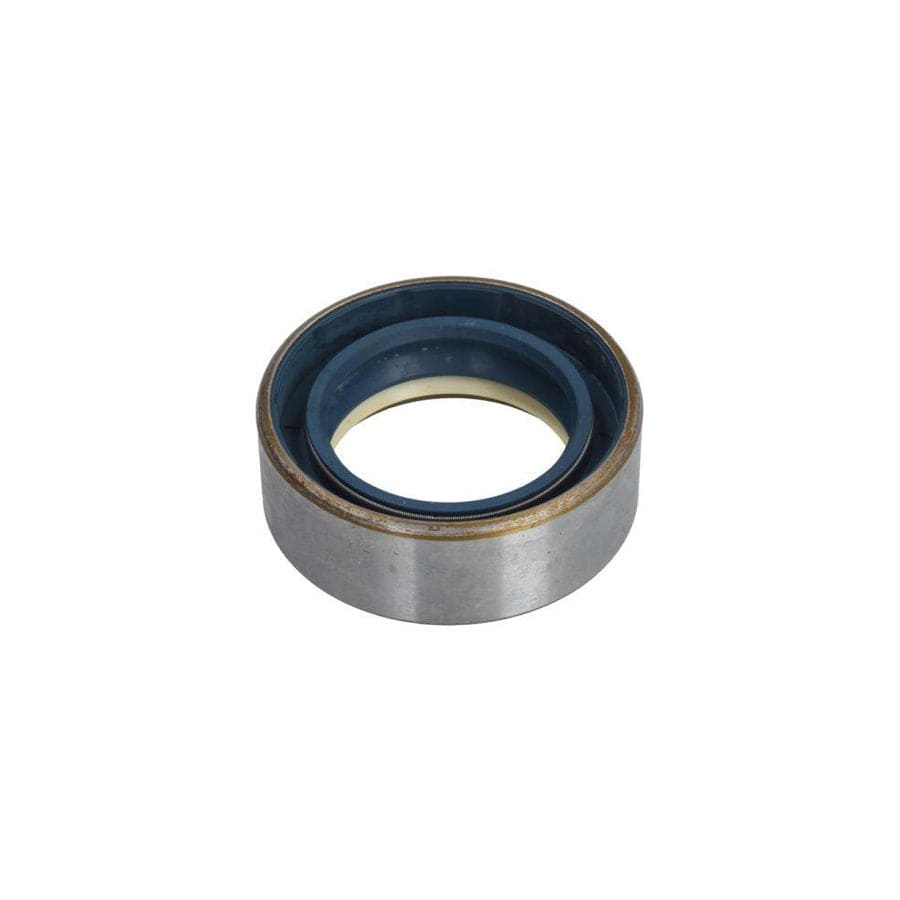 BTA B06-3009 Ring, Wheel Hub