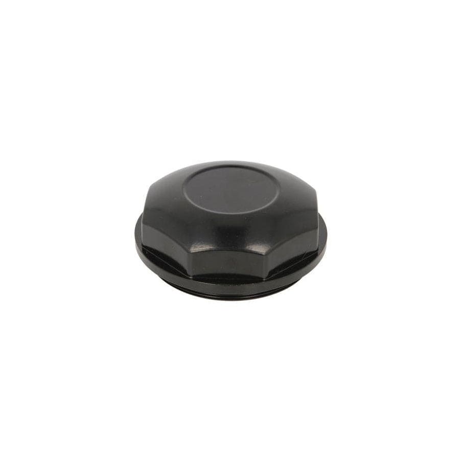 BTA B09-Rvi-003 Cap, Wheel Bearing