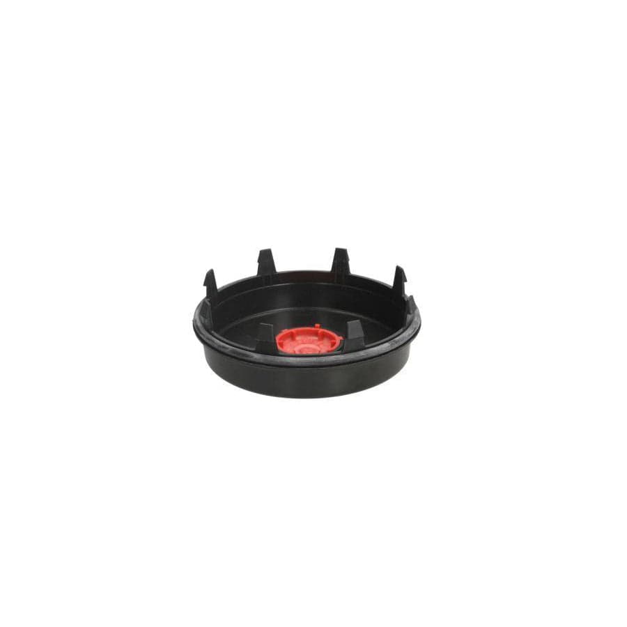BTA B09-Saf-001 Cap, Wheel Bearing