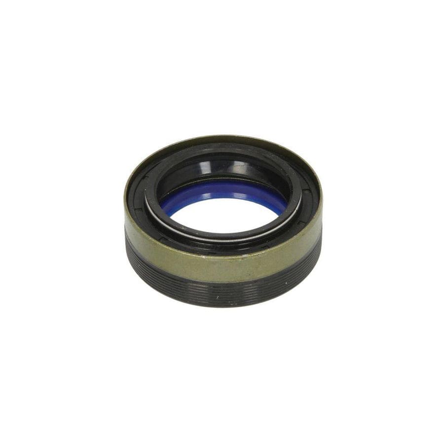 BTA B09-Smb-001 Cover, Wheel Hub