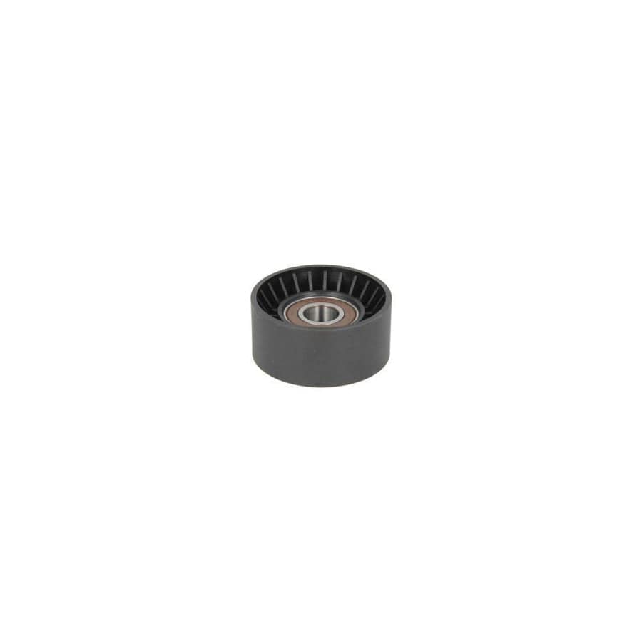 BTA E2W0065BTA Tensioner Lever, V-Ribbed Belt