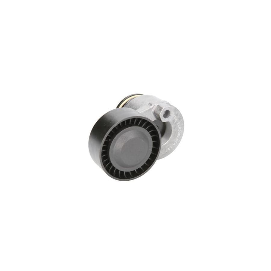 BTA E3R0002BTA Tensioner Pulley
