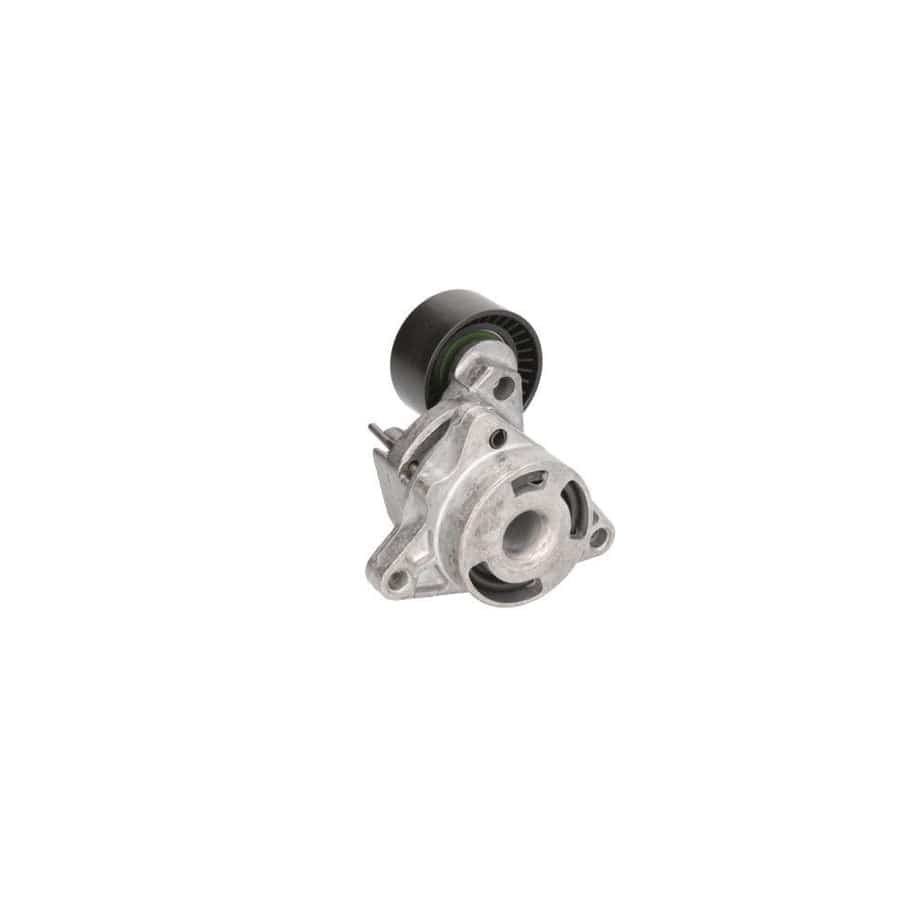 BTA E3R0003BTA Tensioner Pulley