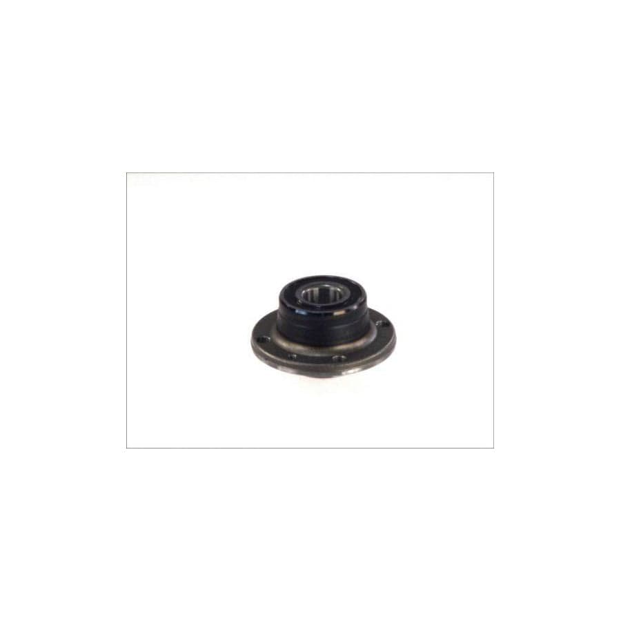 BTA H2F012BTA Wheel Bearing Kit