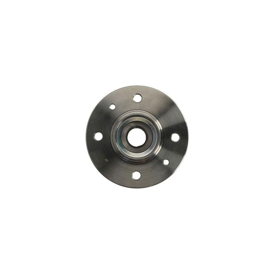 BTA H2R012BTA Wheel Bearing Kit for Renault Laguna I Hatchback (B56)