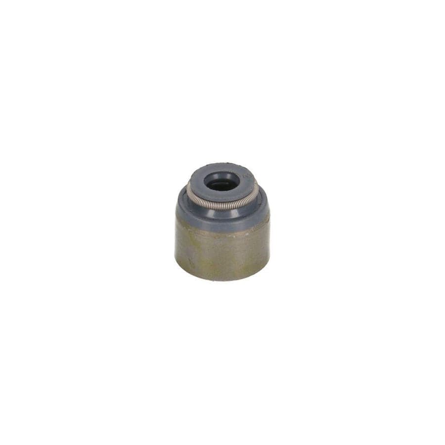 BTA N30504BTA Valve Stem Seal
