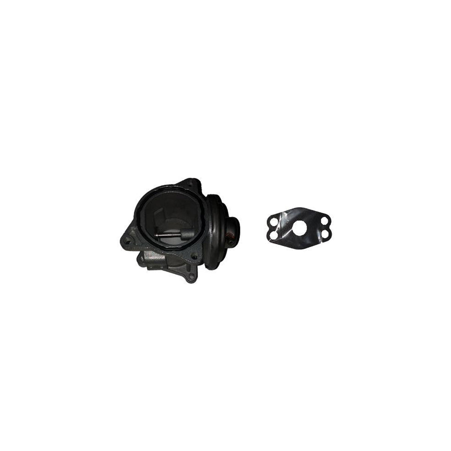 BUGIAD 54021 Egr Valve
