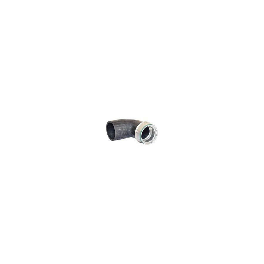 BUGIAD 81610 Charger Intake Hose Suitable for Mercedes-Benz E-Class
