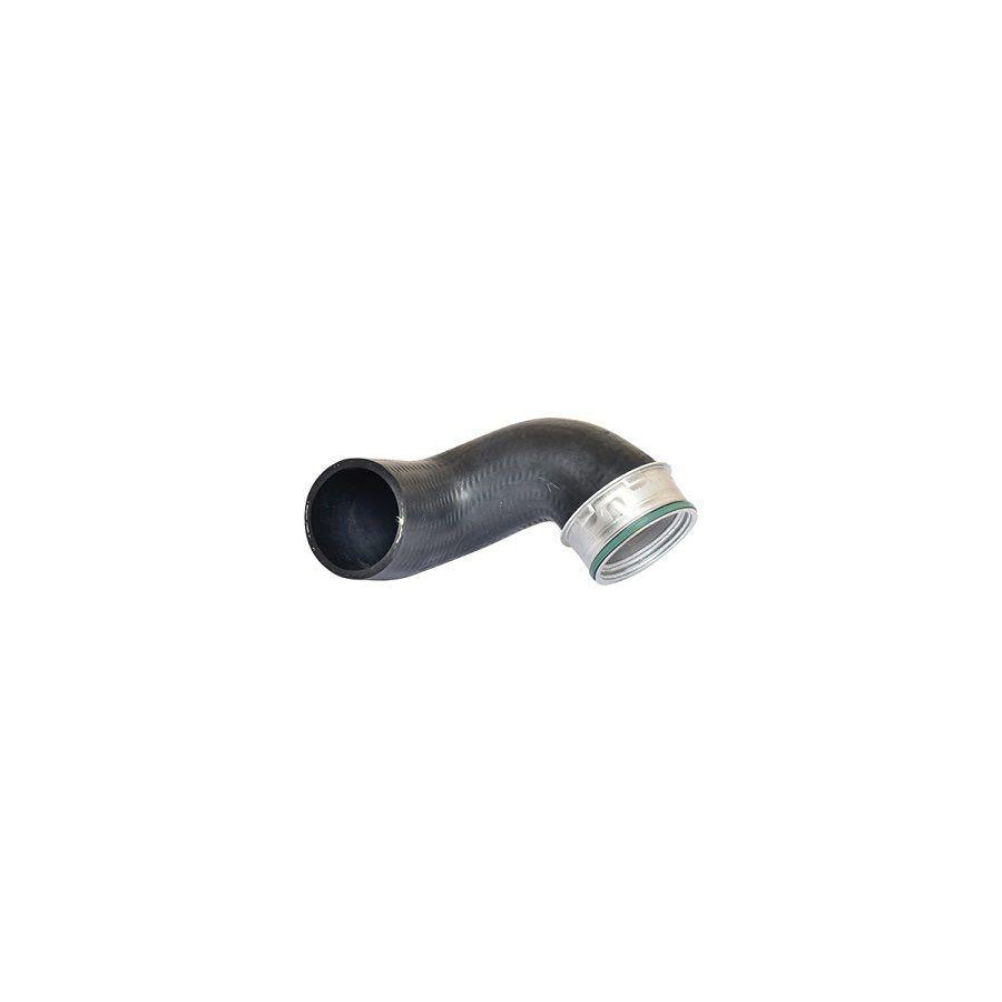 BUGIAD 81612 Charger Intake Hose Suitable for Mercedes-Benz E-Class