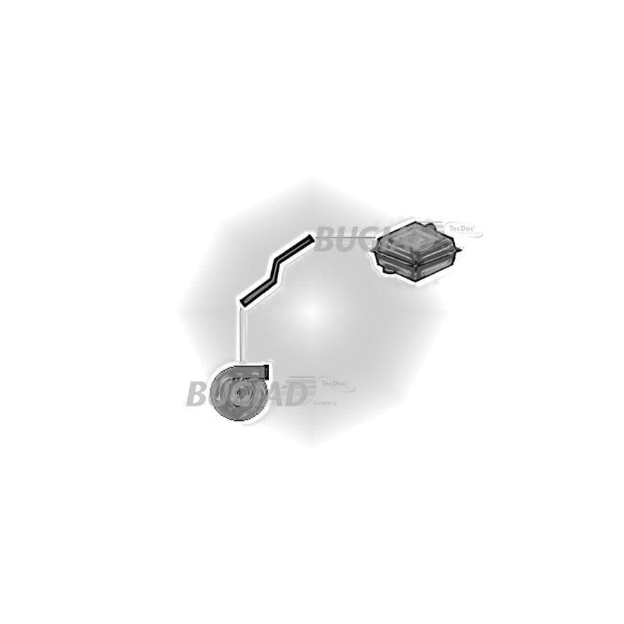 BUGIAD 81619 Charger Intake Hose
