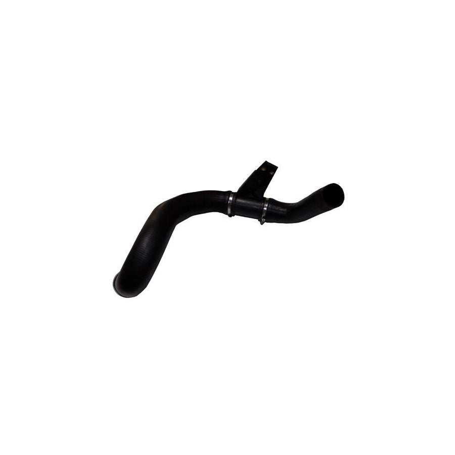 BUGIAD 81650 Charger Intake Hose Suitable for Mercedes-Benz Sprinter