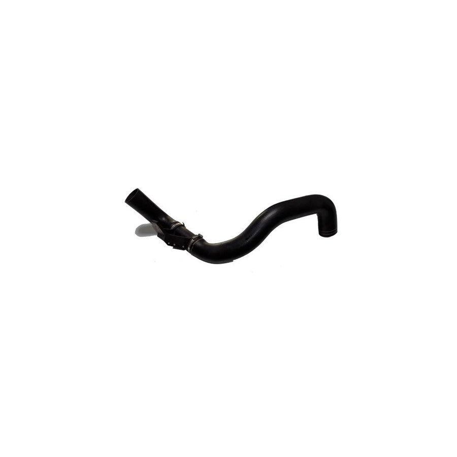 BUGIAD 81651 Charger Intake Hose Suitable for Mercedes-Benz Sprinter