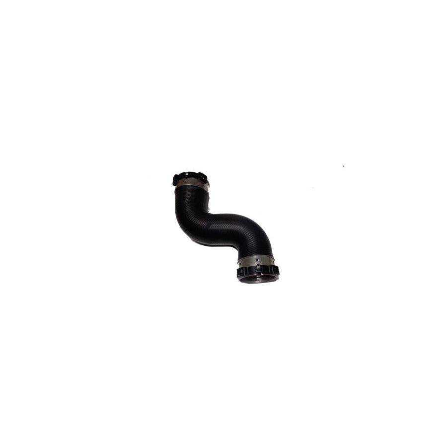 BUGIAD 81653 Charger Intake Hose