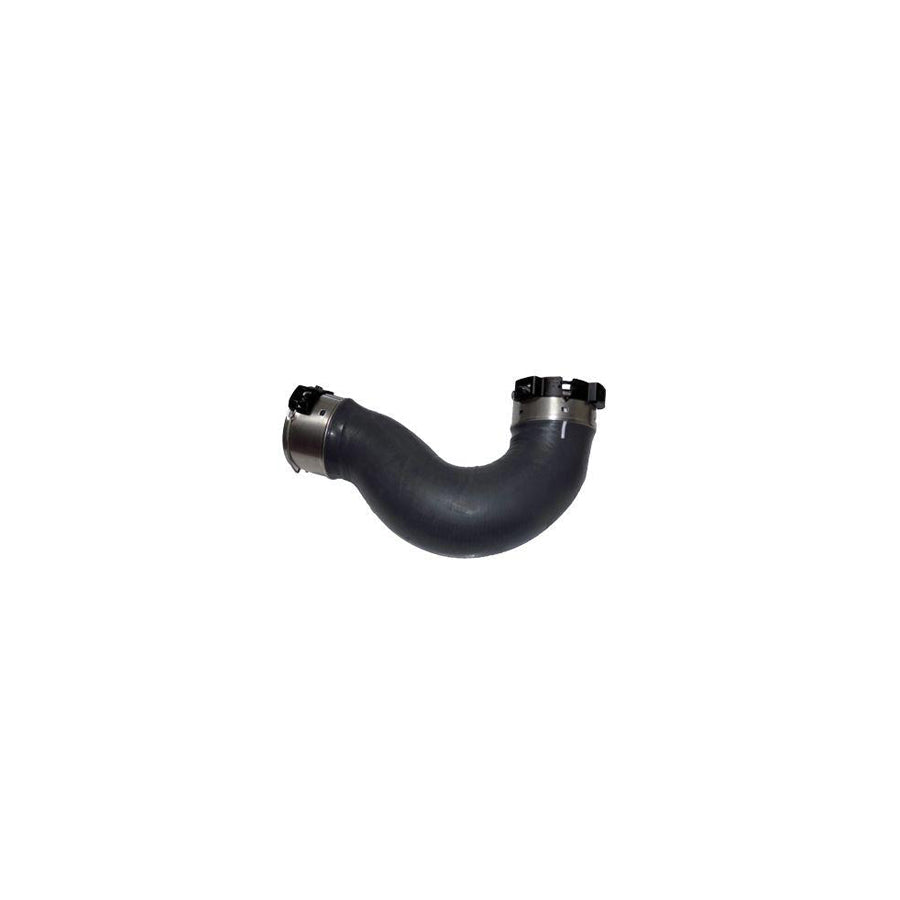 BUGIAD 81654 Charger Intake Hose
