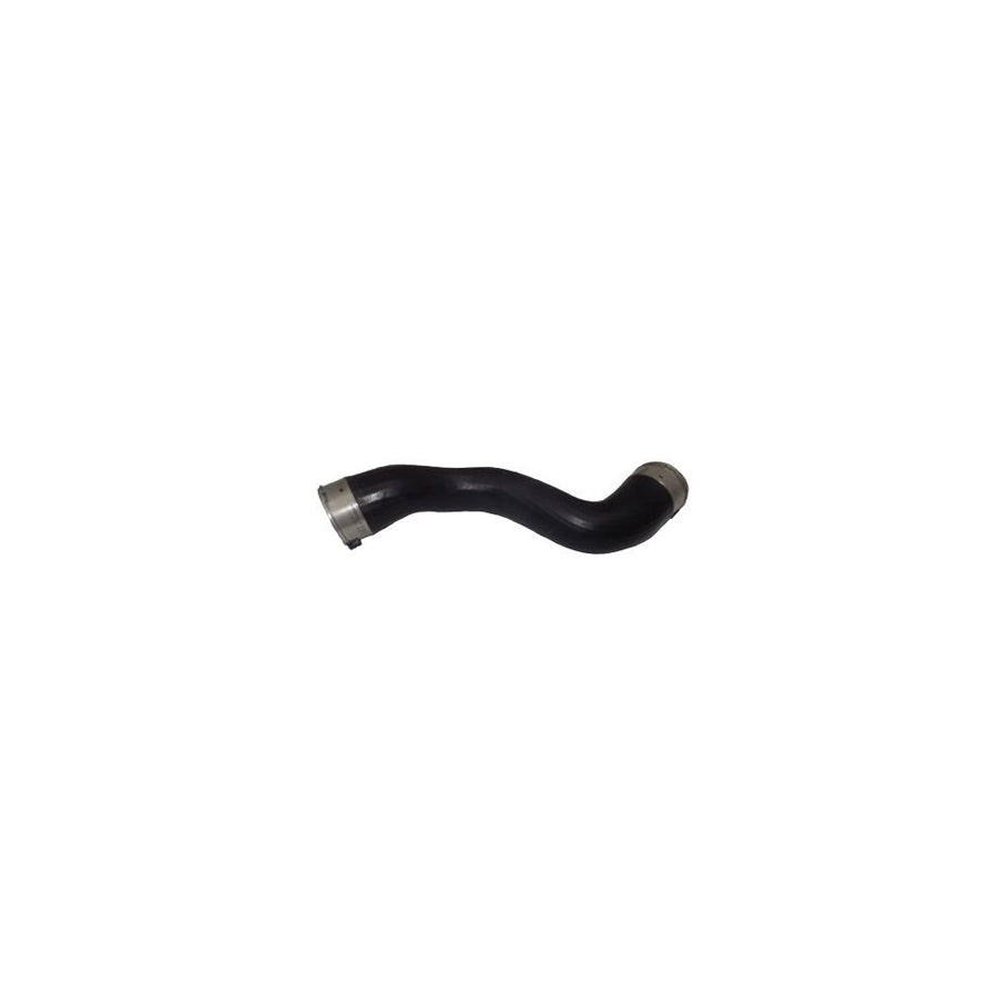 BUGIAD 81656 Charger Intake Hose