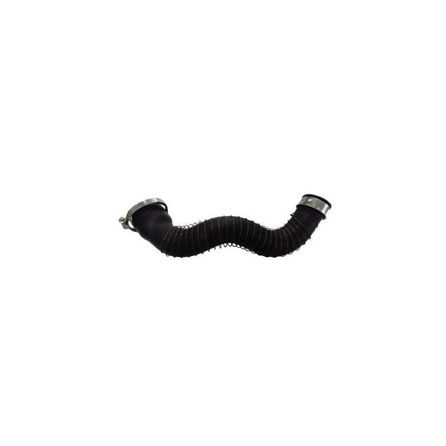 BUGIAD 81658 Charger Intake Hose
