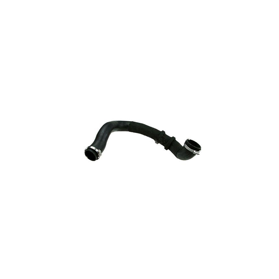 BUGIAD 81670 Charger Intake Hose for Land Rover Range Rover Evoque (L538)