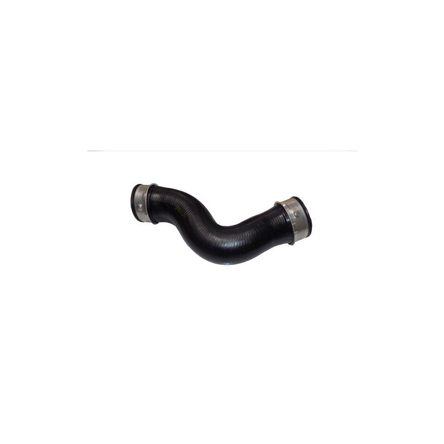 BUGIAD 81676 Charger Intake Hose