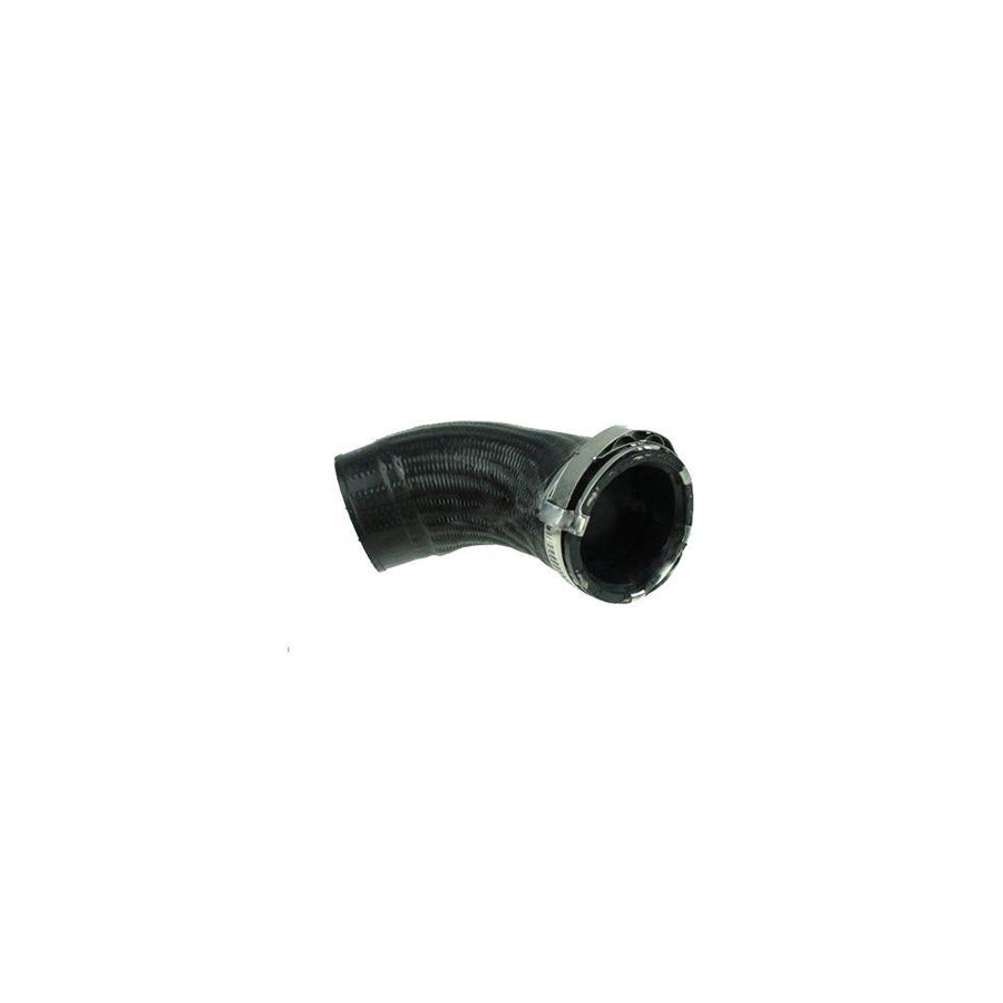 BUGIAD 81677 Charger Intake Hose