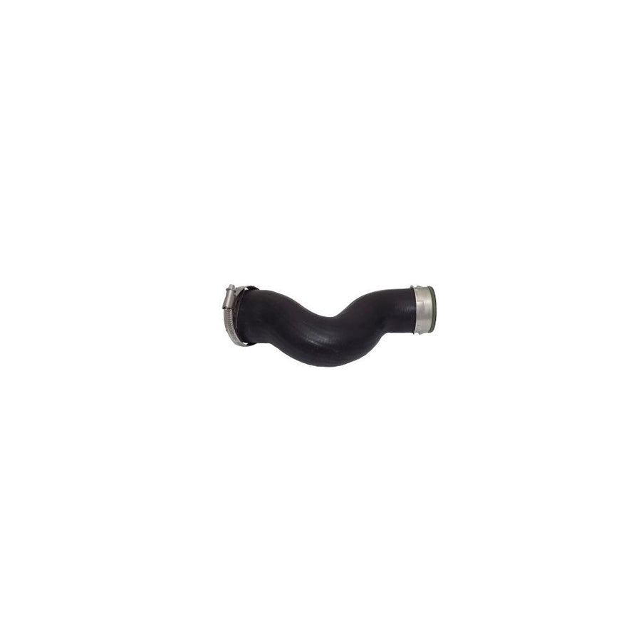 BUGIAD 81680 Charger Intake Hose