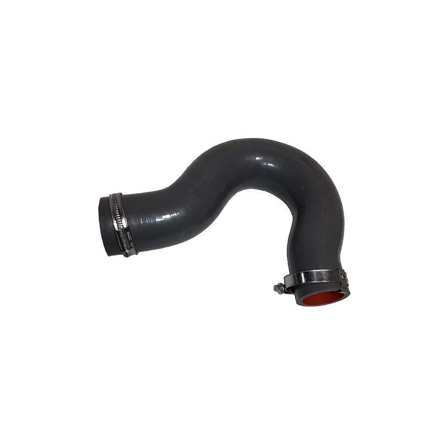 BUGIAD 81683 Charger Intake Hose for Renault Master