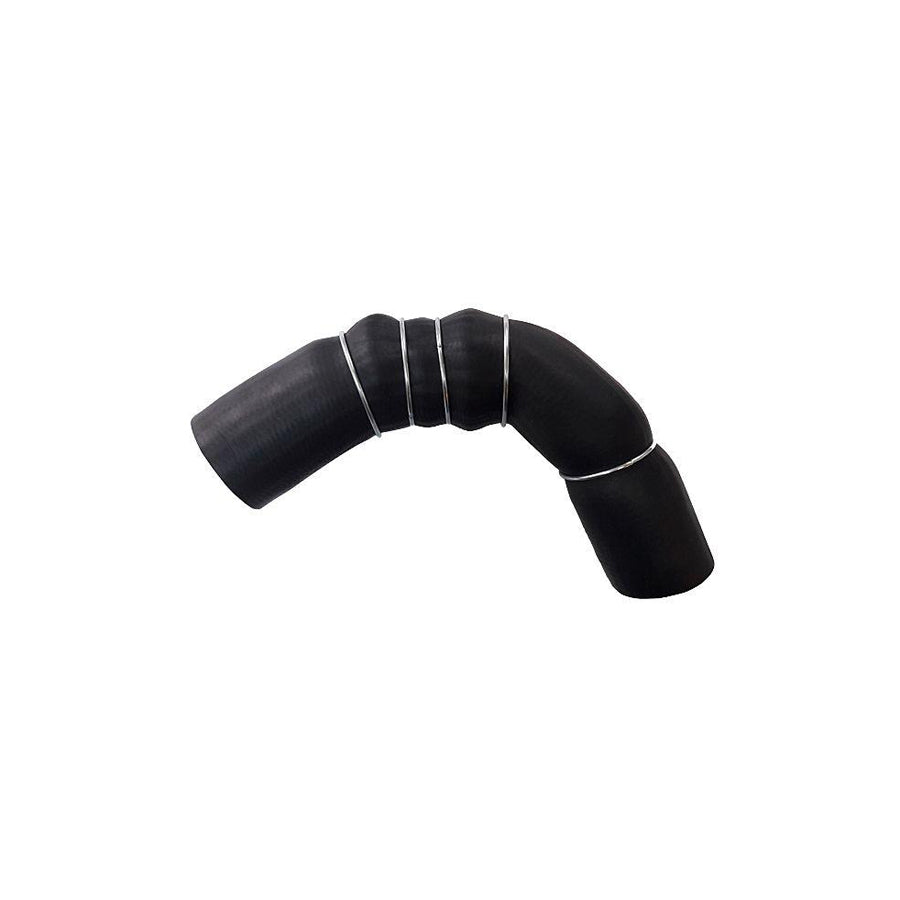 BUGIAD 81691 Charger Intake Hose for Nissan Qashqai / Qashqai 2 I (J10, Nj10)