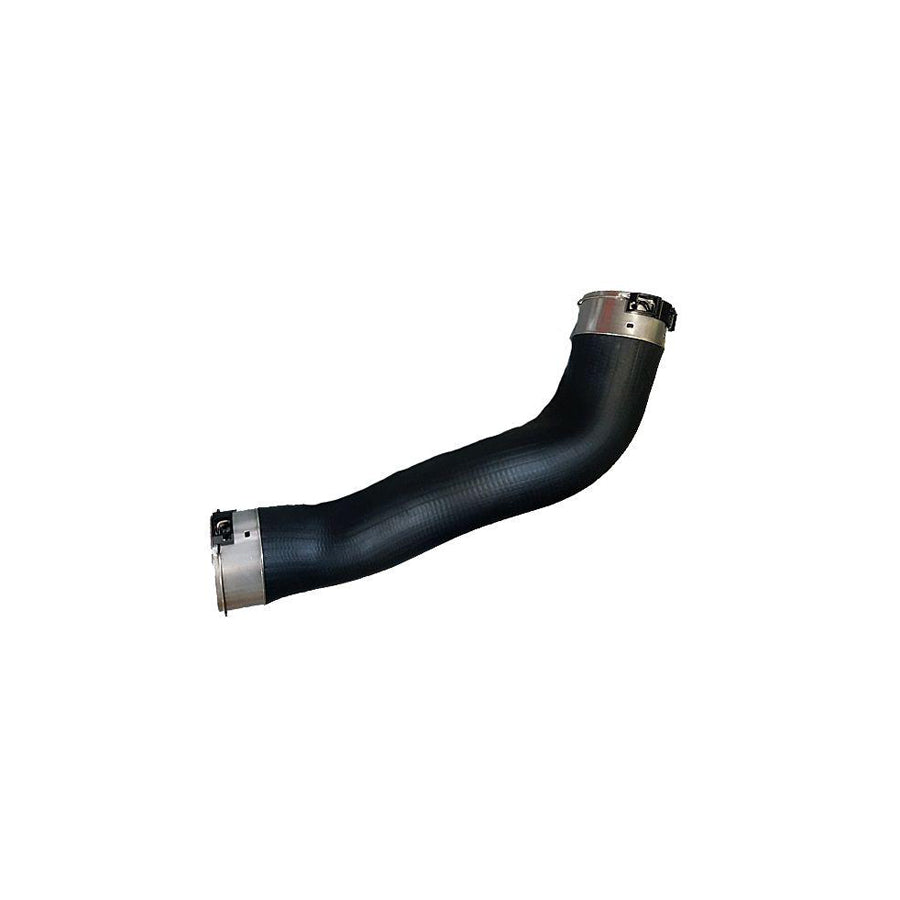 BUGIAD 81699 Charger Intake Hose