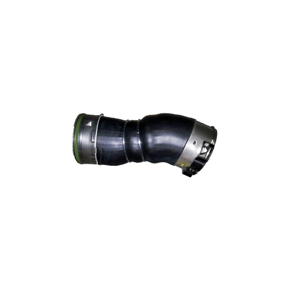 BUGIAD 81731 Charger Intake Hose