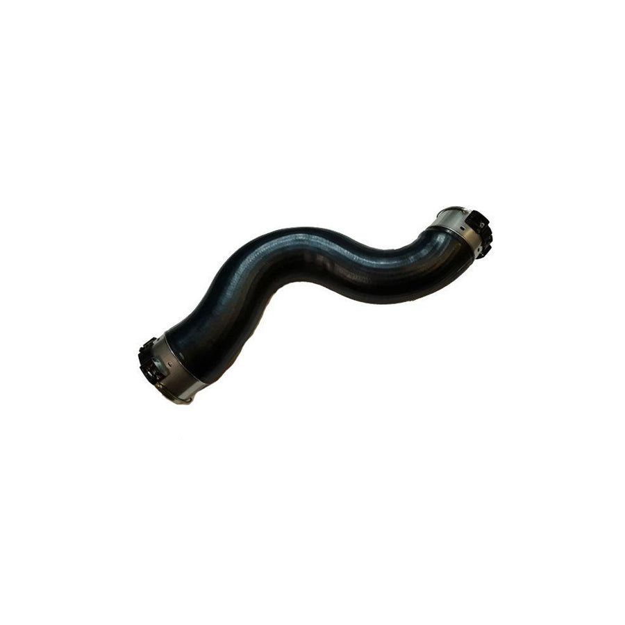 BUGIAD 81743 Charger Intake Hose for BMW 5 Series