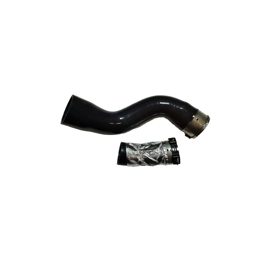 BUGIAD 81744 Charger Intake Hose