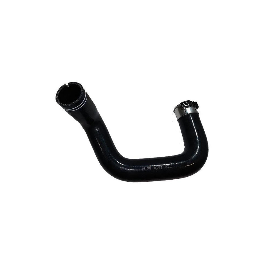 BUGIAD 81750 Charger Intake Hose